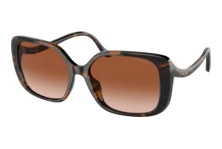[glasses-front-view] Coach CL929 (HC8376U - 512013)