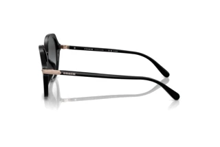 [glasses-side-view] Coach CL925 (HC8377U - 5002T3)