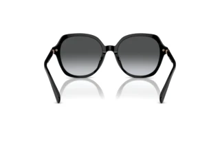 [glasses-back-view] Coach CL925 (HC8377U - 5002T3)