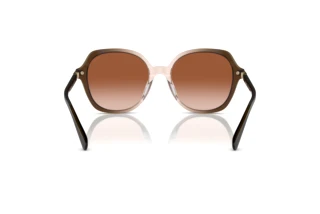 [glasses-back-view] Coach CL925 (HC8377U - 540013)