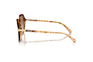 [glasses-side-view] Coach CL925 (HC8377U - 57753C)