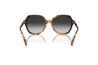 [glasses-back-view] Coach CL925 (HC8377U - 577613)