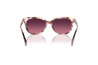 [glasses-back-view] Coach CL926 (HC8378U - 5528F4)