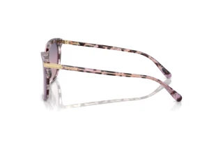 [glasses-side-view] Coach CL926 (HC8378U - 5777U6)