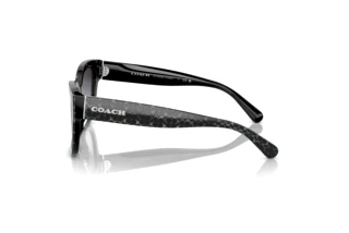 [glasses-side-view] Coach CL920 (HC8379U - 55208G)