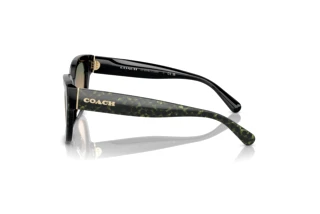 [glasses-side-view] Coach CL920 (HC8379U - 578413)