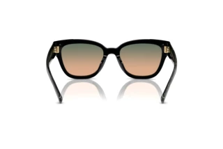 [glasses-back-view] Coach CL920 (HC8379U - 578413)