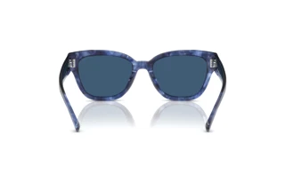 [glasses-back-view] Coach CL920 (HC8379U - 583755)