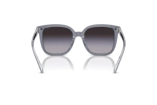 Vista posterior Coach CL918 (HC8381U - 57808G)