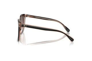 [glasses-side-view] Coach CL918 (HC8381U - 5781E2)