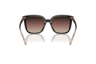 [glasses-back-view] Coach CL918 (HC8381U - 5781E2)