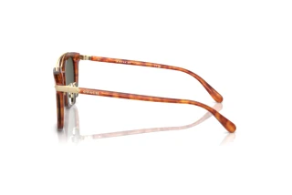 [glasses-side-view] Coach CL913 (HC8382 - 577482)