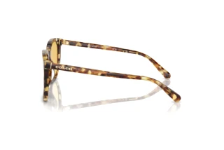[glasses-side-view] Coach CL911 (HC8384U - 504585)
