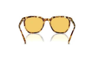 [glasses-back-view] Coach CL911 (HC8384U - 504585)