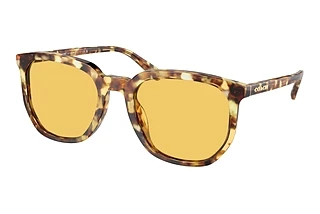Coach HC8384U 504585 Amber SolidHoney Tortoise