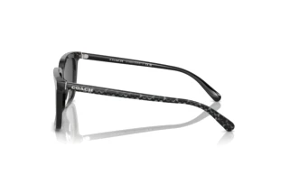 [glasses-side-view] Coach CL910 (HC8385U - 579387)