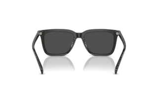 [glasses-back-view] Coach CL910 (HC8385U - 579387)