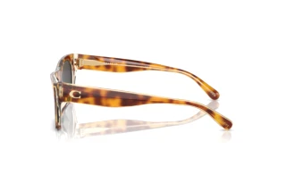 [glasses-side-view] Coach CL917 (HC8389U - 575687)