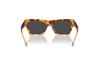 [glasses-back-view] Coach CL917 (HC8389U - 575687)