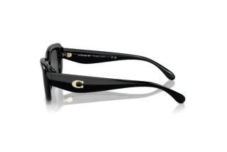 [glasses-side-view] Coach CR610 (HC8390U - 500287)