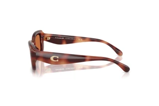 [glasses-side-view] Coach CR610 (HC8390U - 577473)