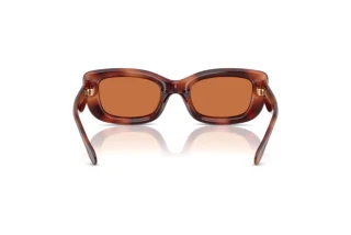 [glasses-back-view] Coach CR610 (HC8390U - 577473)