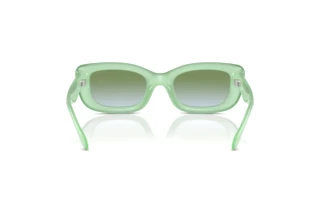 [glasses-back-view] Coach CR610 (HC8390U - 5807I7)