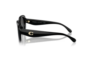 [glasses-side-view] Coach CR609 (HC8391U - 500287)
