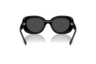 [glasses-back-view] Coach CR609 (HC8391U - 500287)