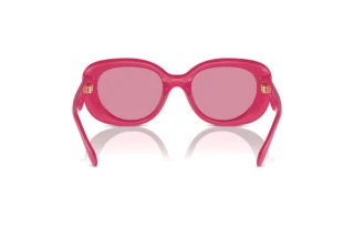 [glasses-back-view] Coach CR609 (HC8391U - 58069L)