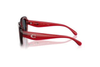 [glasses-side-view] Coach CR609 (HC8391U - 586287)