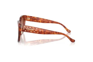 Sidovy Coach CR611 (HC8392U - 577413)