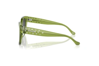 [glasses-side-view] Coach CR611 (HC8392U - 581087)