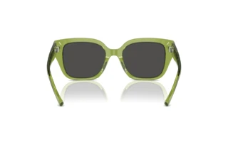 [glasses-back-view] Coach CR611 (HC8392U - 581087)