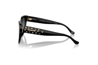 [glasses-side-view] Coach CR612 (HC8393U - 50023C)