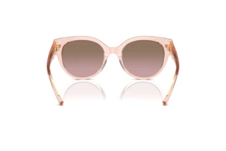 [glasses-back-view] Coach CR612 (HC8393U - 566814)