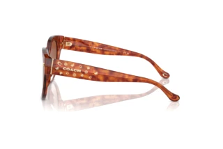 [glasses-side-view] Coach CR612 (HC8393U - 577413)