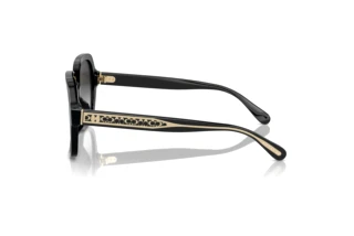 [glasses-side-view] Coach CR614 (HC8395U - 50023C)