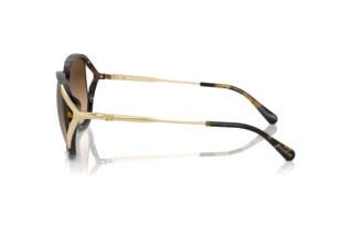 [glasses-side-view] Coach CR620 (HC8396U - 512074)