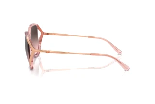 [glasses-side-view] Coach CR620 (HC8396U - 566646)