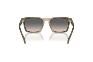 [glasses-back-view] Coach CR628 (HC8397U - 5797G9)