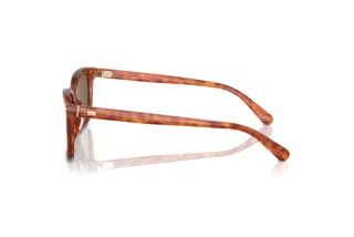 [glasses-side-view] Coach CR630 (HC8398U - 577473)