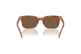 [glasses-back-view] Coach CR630 (HC8398U - 577473)