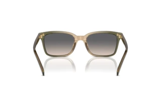 [glasses-back-view] Coach CR630 (HC8398U - 5797G9)