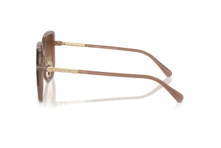 [glasses-side-view] Coach CR635 (HC8401D - 580874)