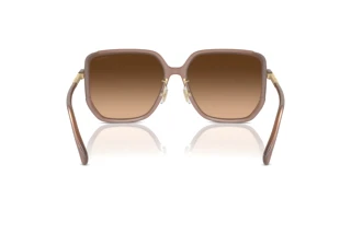 [glasses-back-view] Coach CR635 (HC8401D - 580874)