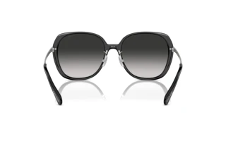 Vy bakifrån Coach CR636 (HC8403D - 50023C)