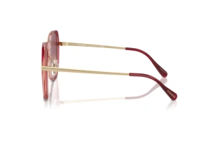 [glasses-side-view] Coach CR636 (HC8403D - 58268H)