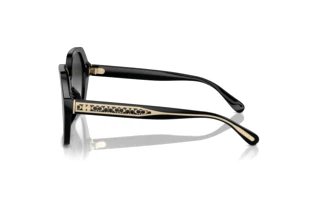 [glasses-side-view] Coach CR615 (HC8404U - 50023C)