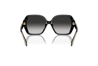 [glasses-back-view] Coach CR615 (HC8404U - 50023C)